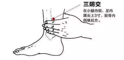 三阴.jpg 图片