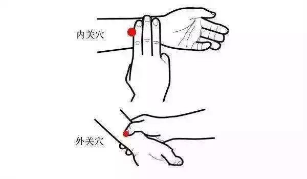 内关.jpg 图片