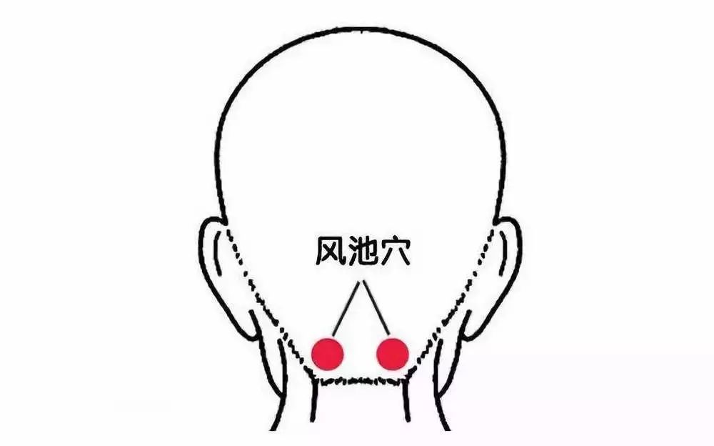 风.jpg 图片