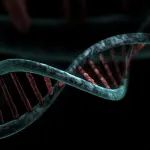研发投入增长近59%，和元生物公布Q1财报