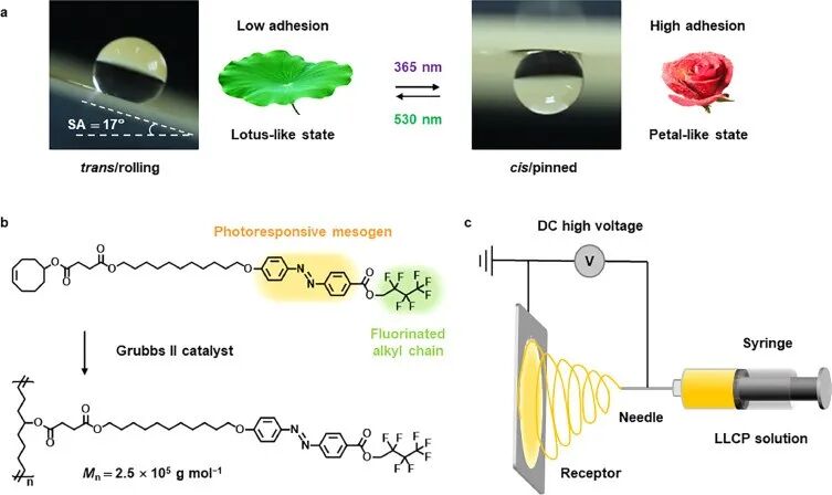 复旦大学俞燕蕾教授课题组：可操控微型水滴的光驱动超疏水智能纺丝垫的图2