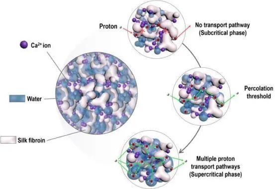 上海科技大学凌盛杰课题组：水合质子对丝蛋白离电水凝胶温度和湿度响应行为的影响的图3