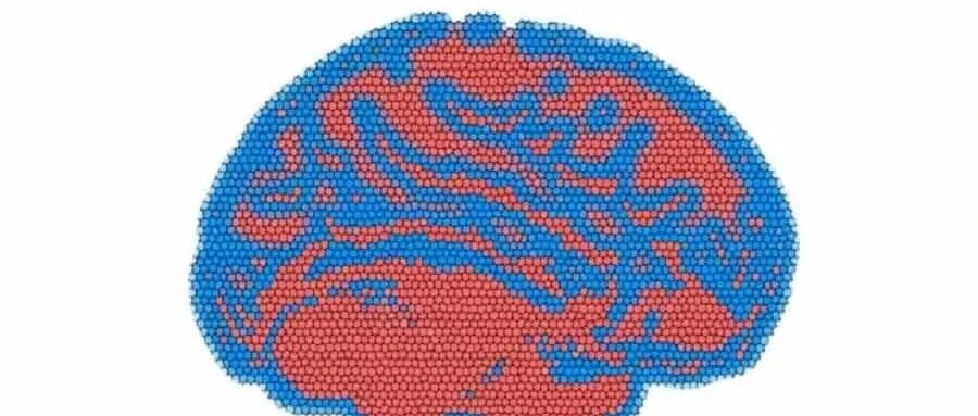 信息寻求的个体差异