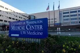 通透性增加_通透性_通透性的概念