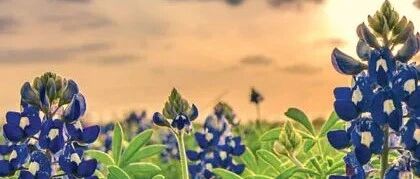 认知能力下降是预测阿尔茨海默病患者预期寿命的关键因素