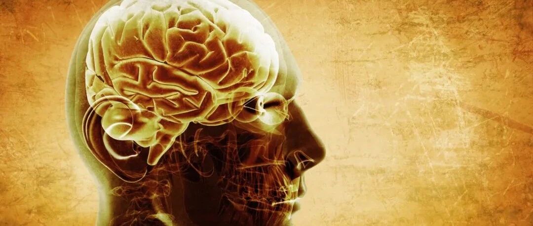 肠道药物显示能增强记忆力和认知能力