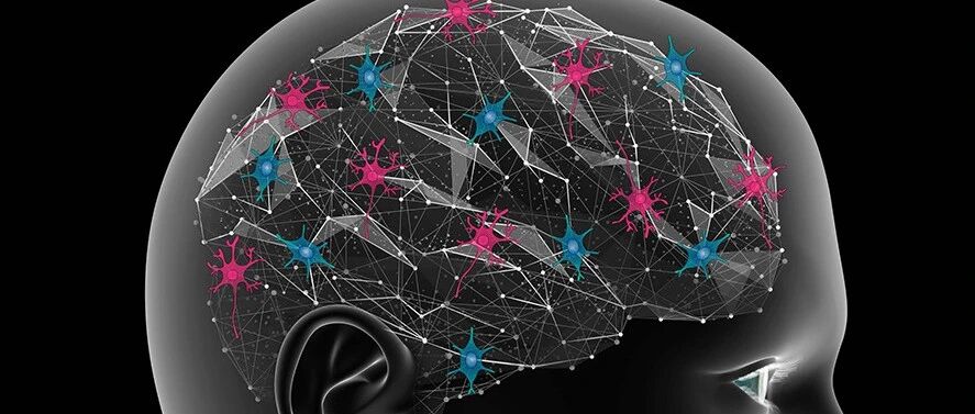 新的药物筛选方法回答了阿尔茨海默病药物失败的原因，并提出了新的靶点