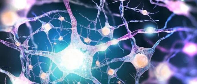 新的成像扫描揭示了阿尔茨海默病认知能力下降的罪魁祸首