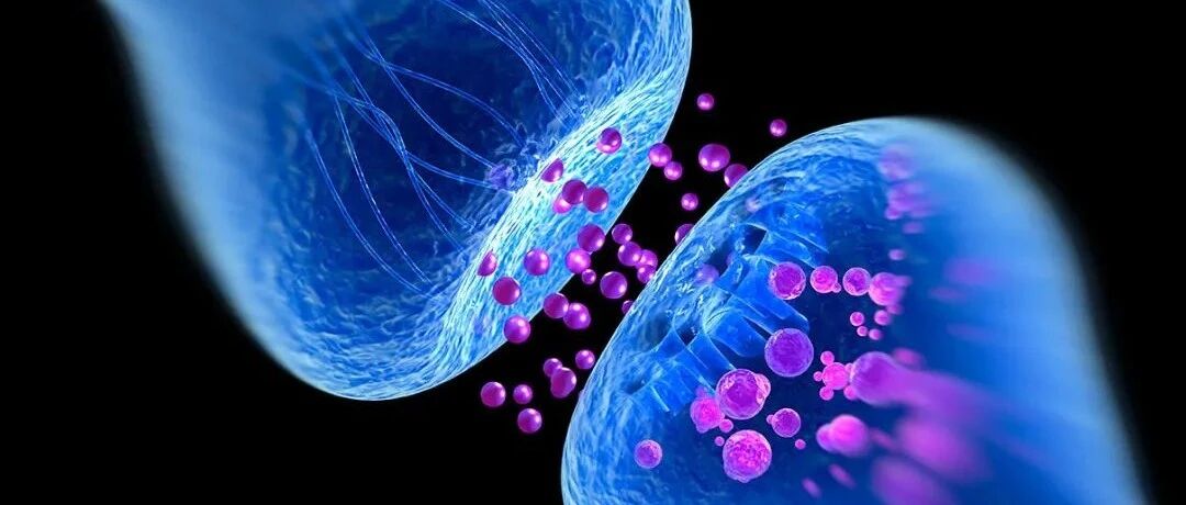 了解阿尔茨海默病的记忆丧失