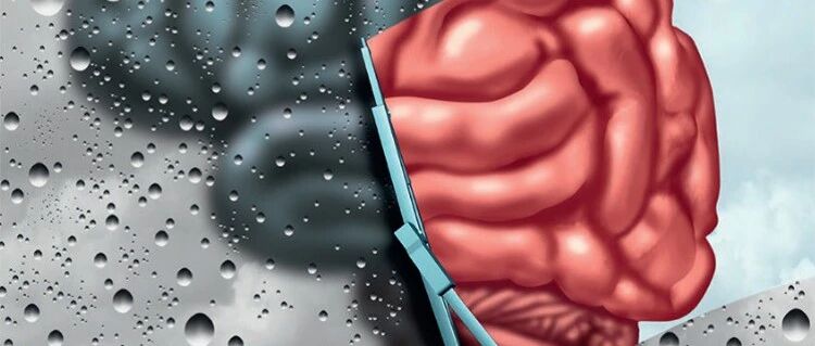 新框架：不是一种而是有三种形式的阿尔茨海默病