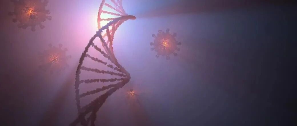 阿尔茨海默病的一个常见风险因素可能使携带者容易感染严重的COVID-19