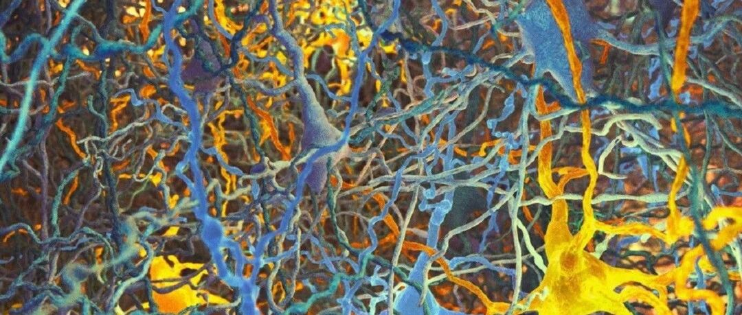 延缓阿尔茨海默病神经变性的替代策略（老药新用）