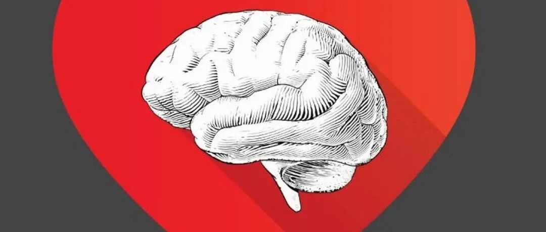 对心脏有益的东西对大脑也有益