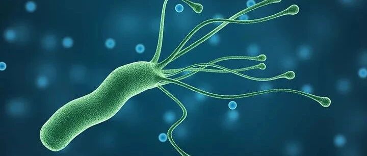 幽门螺杆菌感染和患失智的风险之间的关系