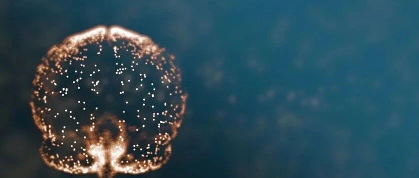 绘制失智相关蛋白相互作用图产生潜在的新治疗靶点