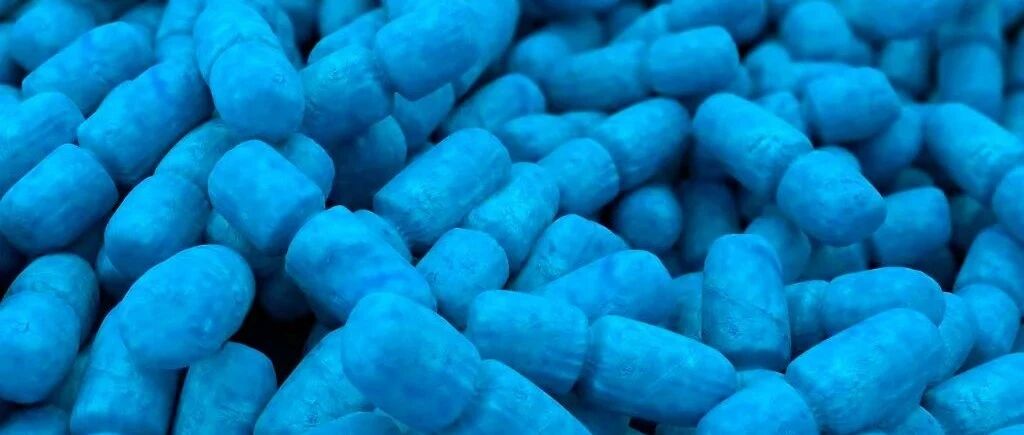 粪菌移植驱动阿尔茨海默病模型的行为和认知变化