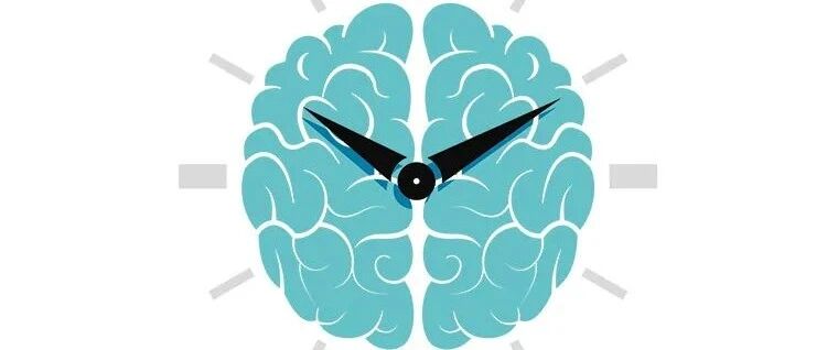 生物钟紊乱与炎症性疾病之间的新联系