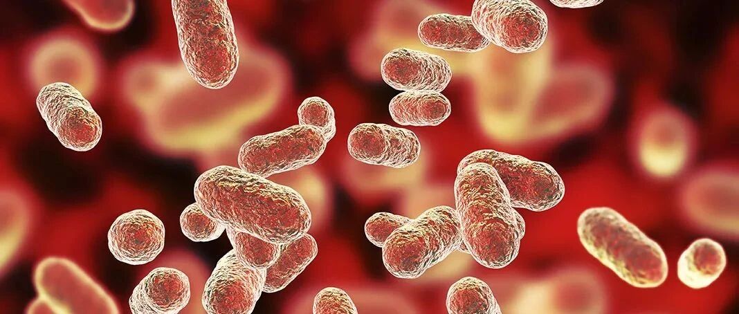 牙龈中的一种蛋白质可能有助于预防阿尔茨海默病