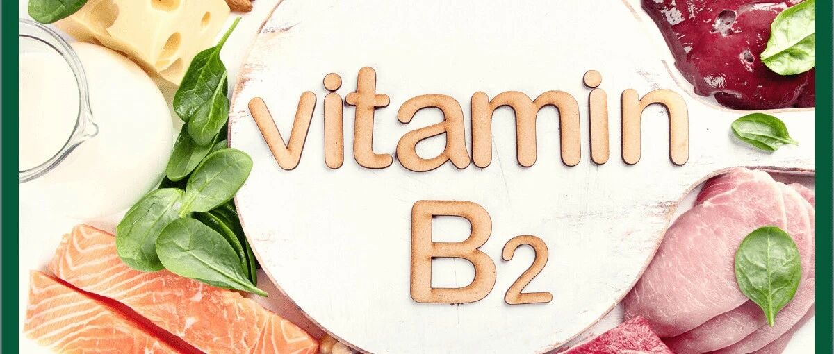 一种新发现的维生素B2抗衰老功能