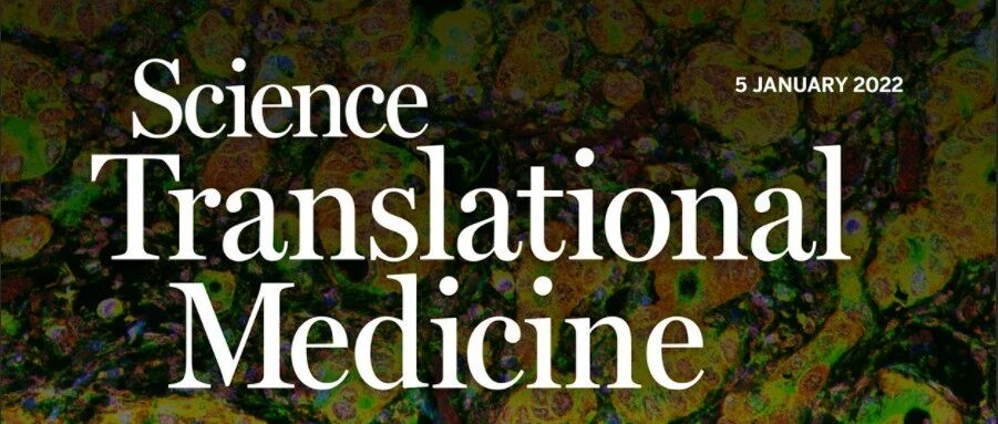 研究结果为更精确地诊断和治疗阿尔茨海默病开辟了道路