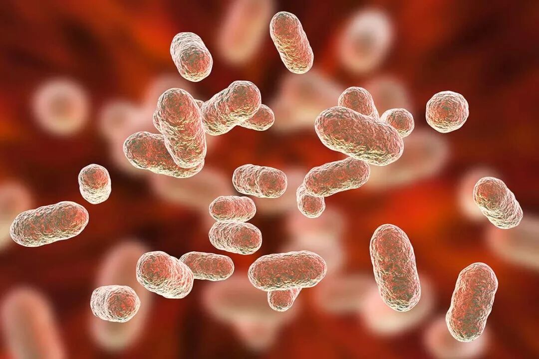 針對牙齦疾病細菌的新型阿爾茨海默病治療方法 健康 第3張