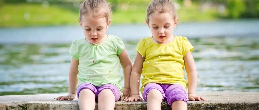 双胞胎研究表明环境因素在阿尔茨海默病的病理中起重要作用