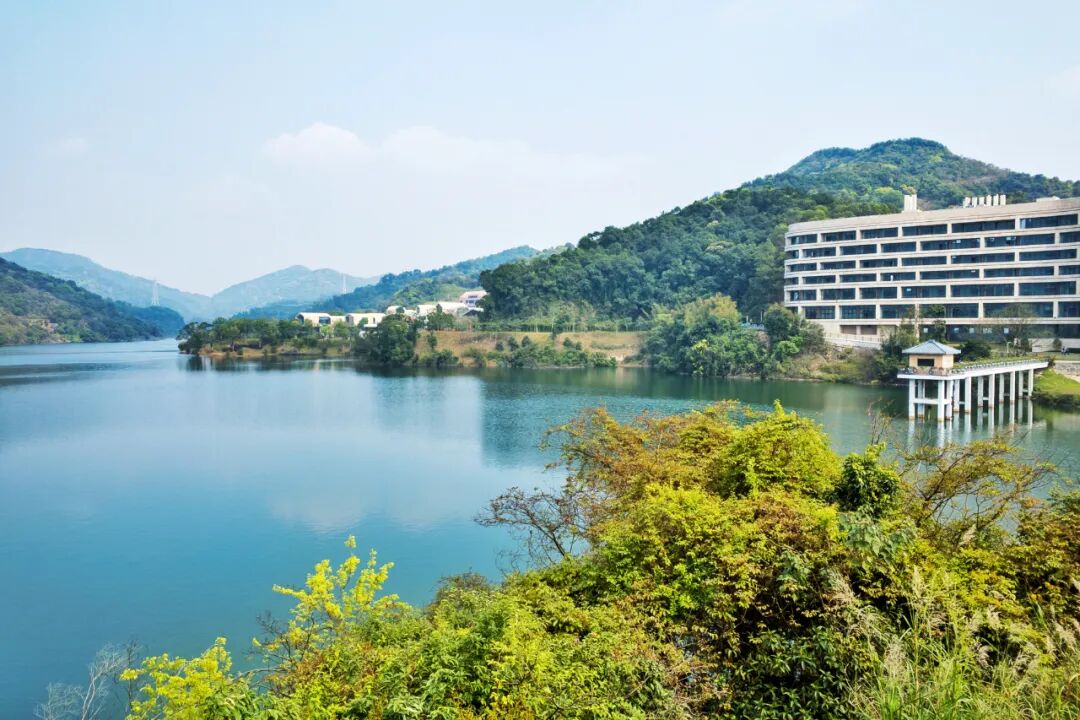 总价350万，在广州有哪些楼盘可以选择？