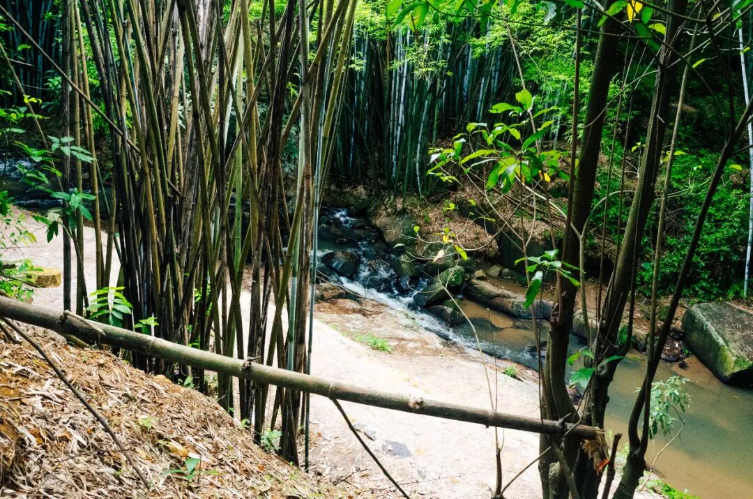 图源/GZphotos 刘宇