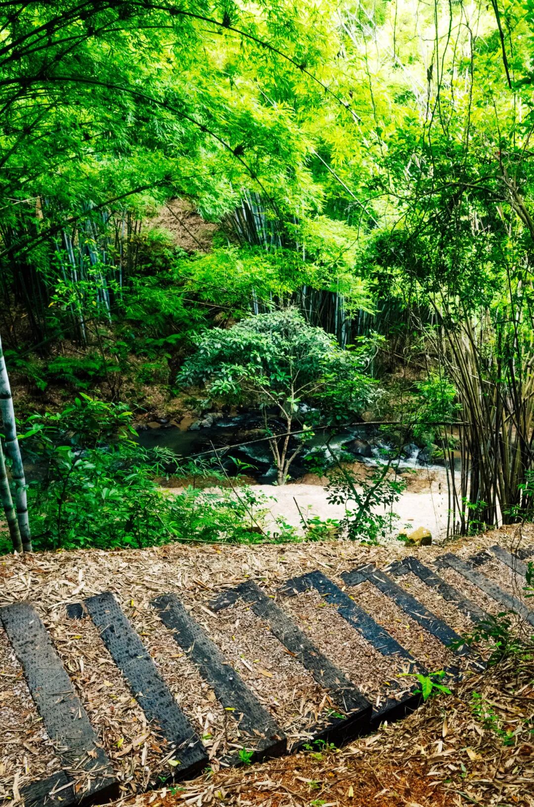 图源/GZphotos 刘宇