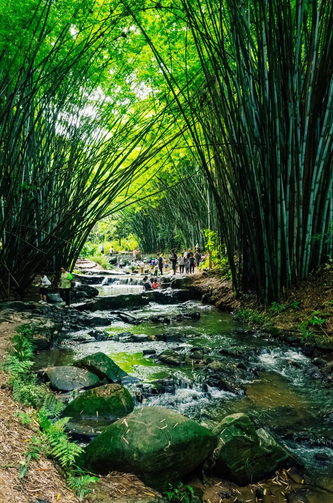 图源/GZphotos 刘宇