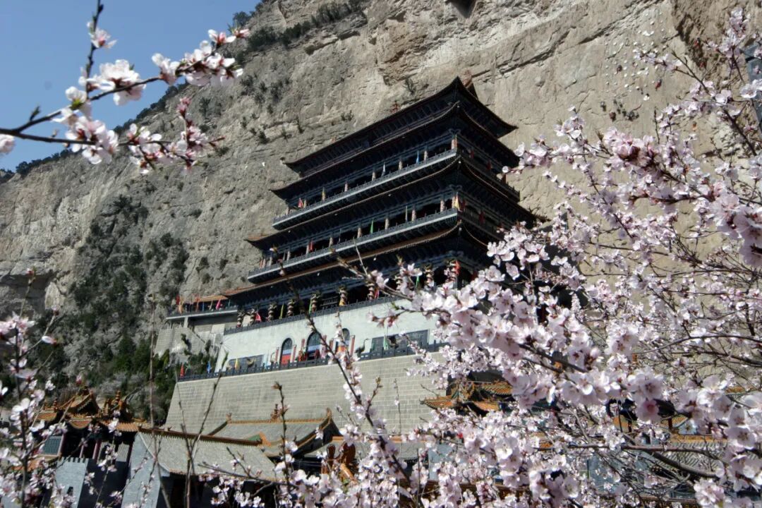 美景变钱景山西各地发展赏花经济