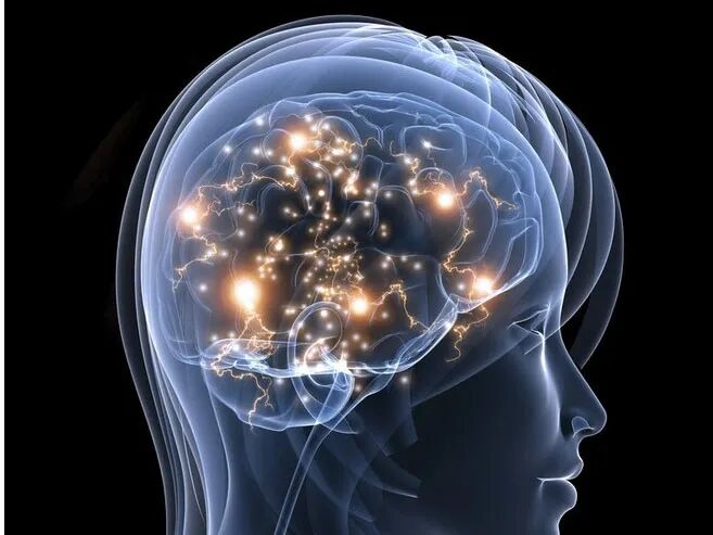 脑电图仪器是什么样子最新人脑检测仪器--脑磁图_https://www.jmylbn.com_新闻资讯_第4张