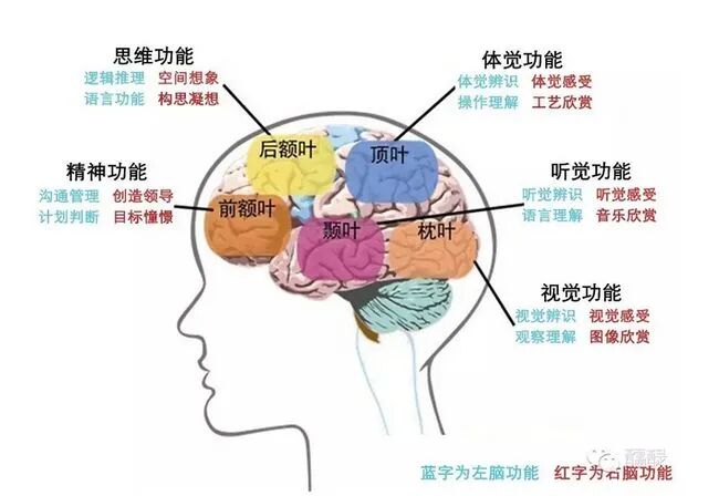 脑电图仪器是什么样子最新人脑检测仪器--脑磁图_https://www.jmylbn.com_新闻资讯_第6张