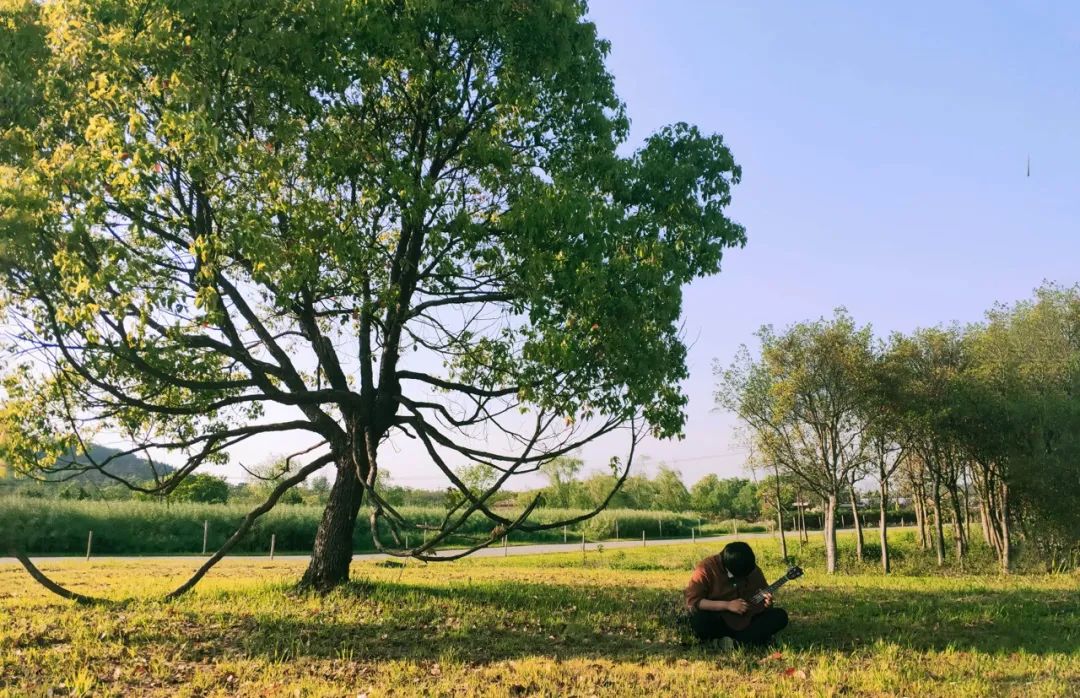 不用去紐西蘭！哈比人夢幻童話村，占地2500畝打造現實版「桃花源」，來過的人都不想走！ 旅遊 第72張