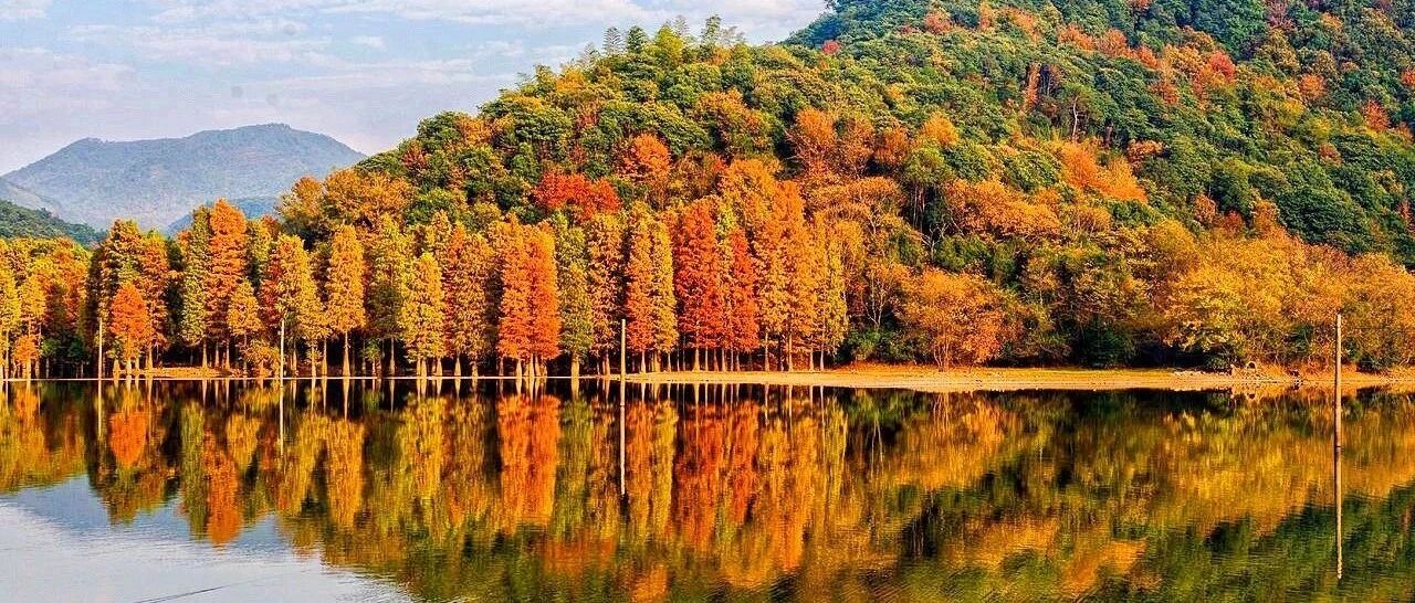 不出江浙沪，1h直达江南“小喀纳斯”！99%的人不知道的赏秋秘境，马上要火！