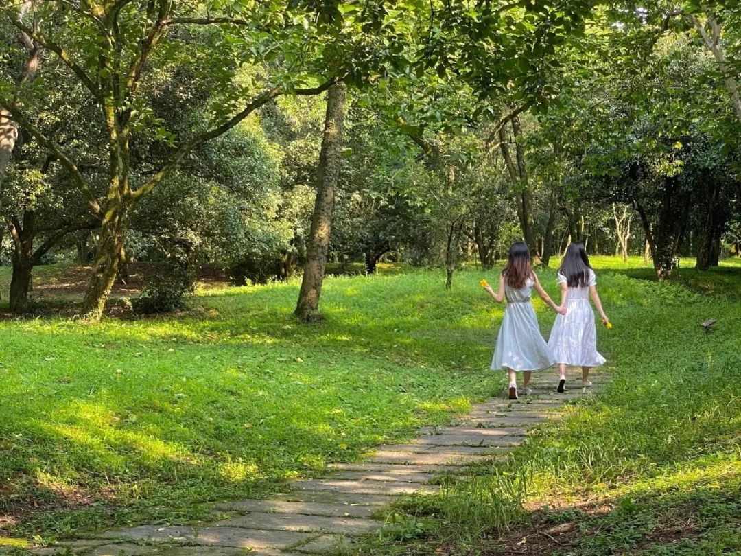 這個中國十大必去的城市，一到夏天美成瑞士！避開人潮私享美景，我隻認這份攻略 旅遊 第9張