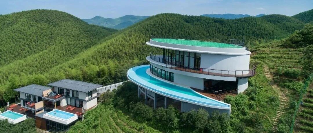 浙江人太幸福了！家门口的度假仙境，千亩茶园竹海四季常绿，剧组都抢着来取景！