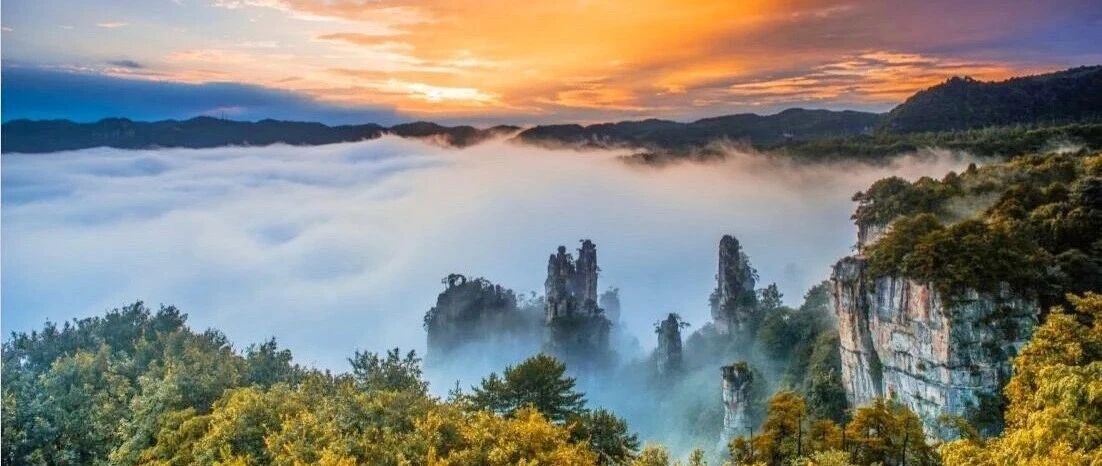 机票300+直飞“世界最美屋顶花园”！打卡阿凡达取景地，星空下露台泡汤，睡入云海之上！