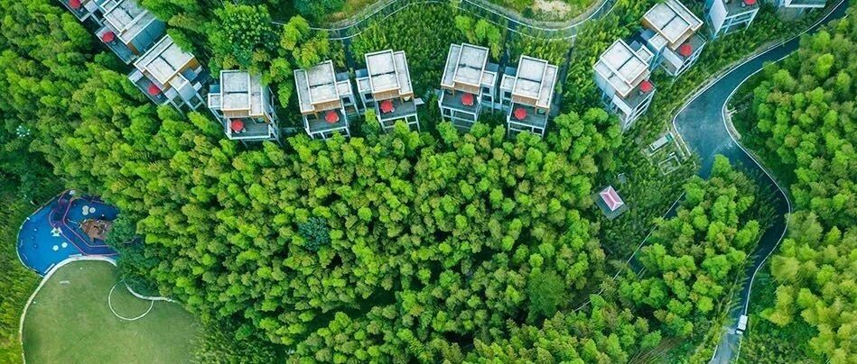 酒店圈神仙打架！山巅竹林云海，野奢villa一房一私汤，国牌之光经典力作！