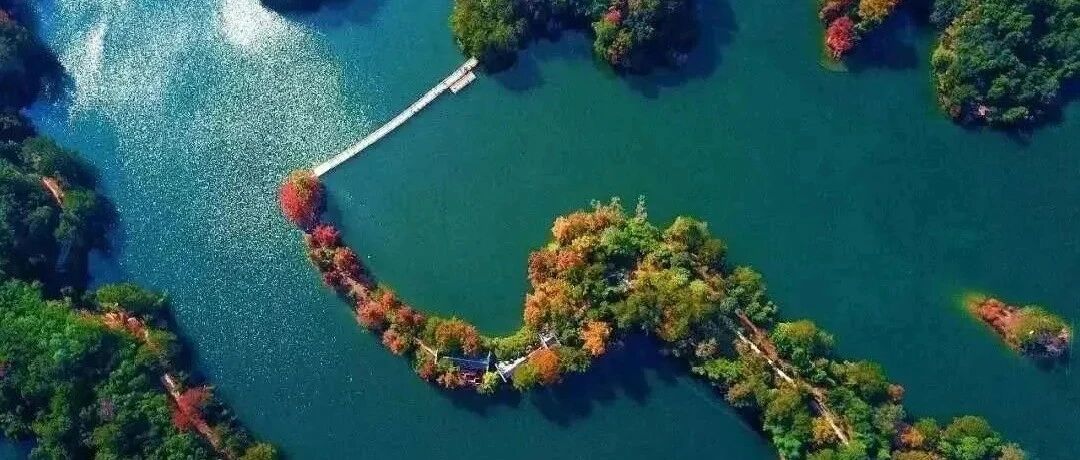 新发现绝美赏秋秘境！隐匿千年客家小城的诗意栖居，坐拥C位湖泊山色，乘船泛湖做逍遥客~
