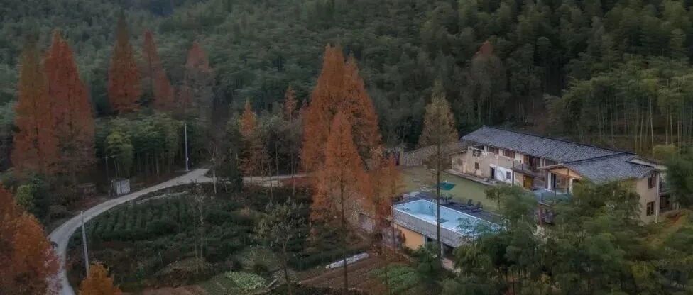 这里的秋天太美了！银杏小院煮茶泡汤，乘热气球俯瞰全城秋色，避开人群赏秋去~