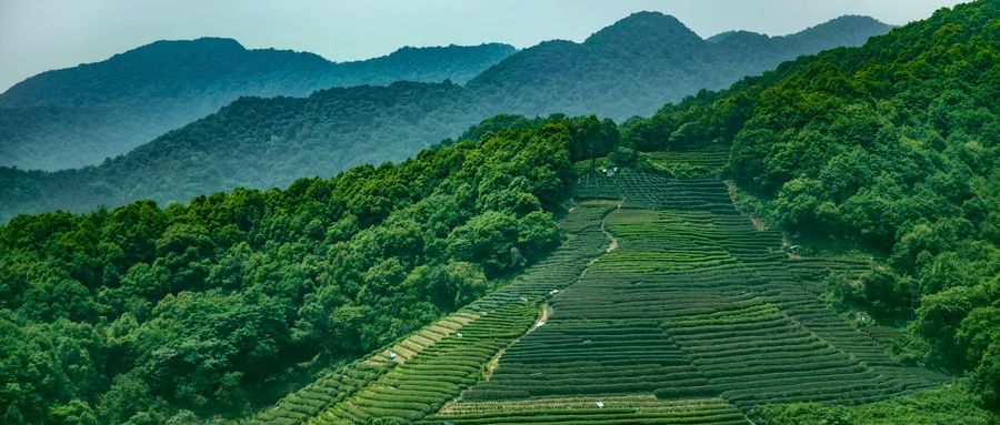 莫幹山北麓24℃避暑地火了！背靠瀑布溪澗環繞，宋美齡故居設計團隊三年打造，7間房躺看竹海山谷! 旅遊 第12張