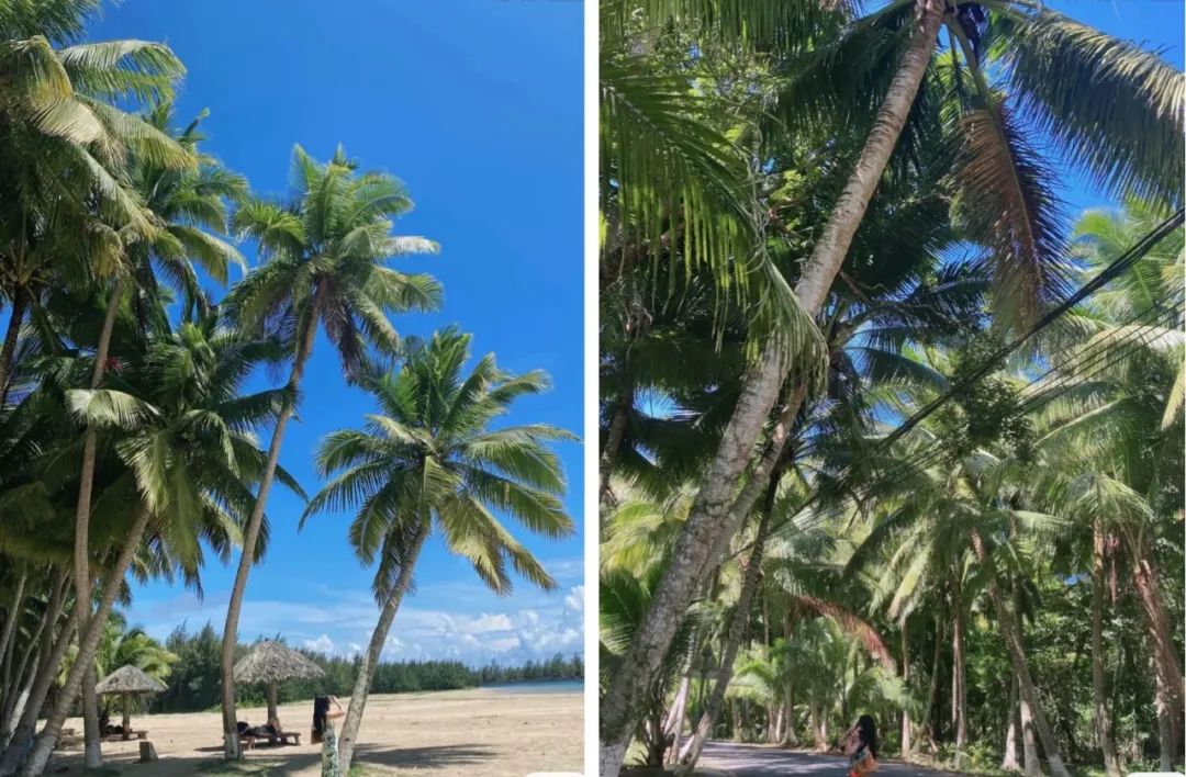 大半年沒出國海島遊？家門口的海灘一樣不容錯過，沖浪媲美夏威夷、美景不亞於仙本那！趕緊列入旅行清單~ 旅遊 第30張