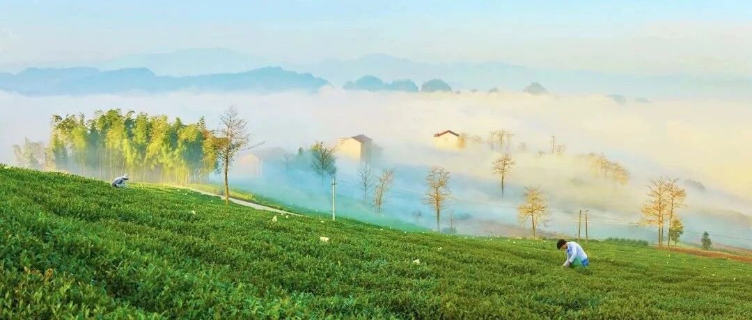 太好吃了！这座隐秘小城美食遍地、物价感人！四季绝美云海，惊艳到连李白杜甫都来打卡！