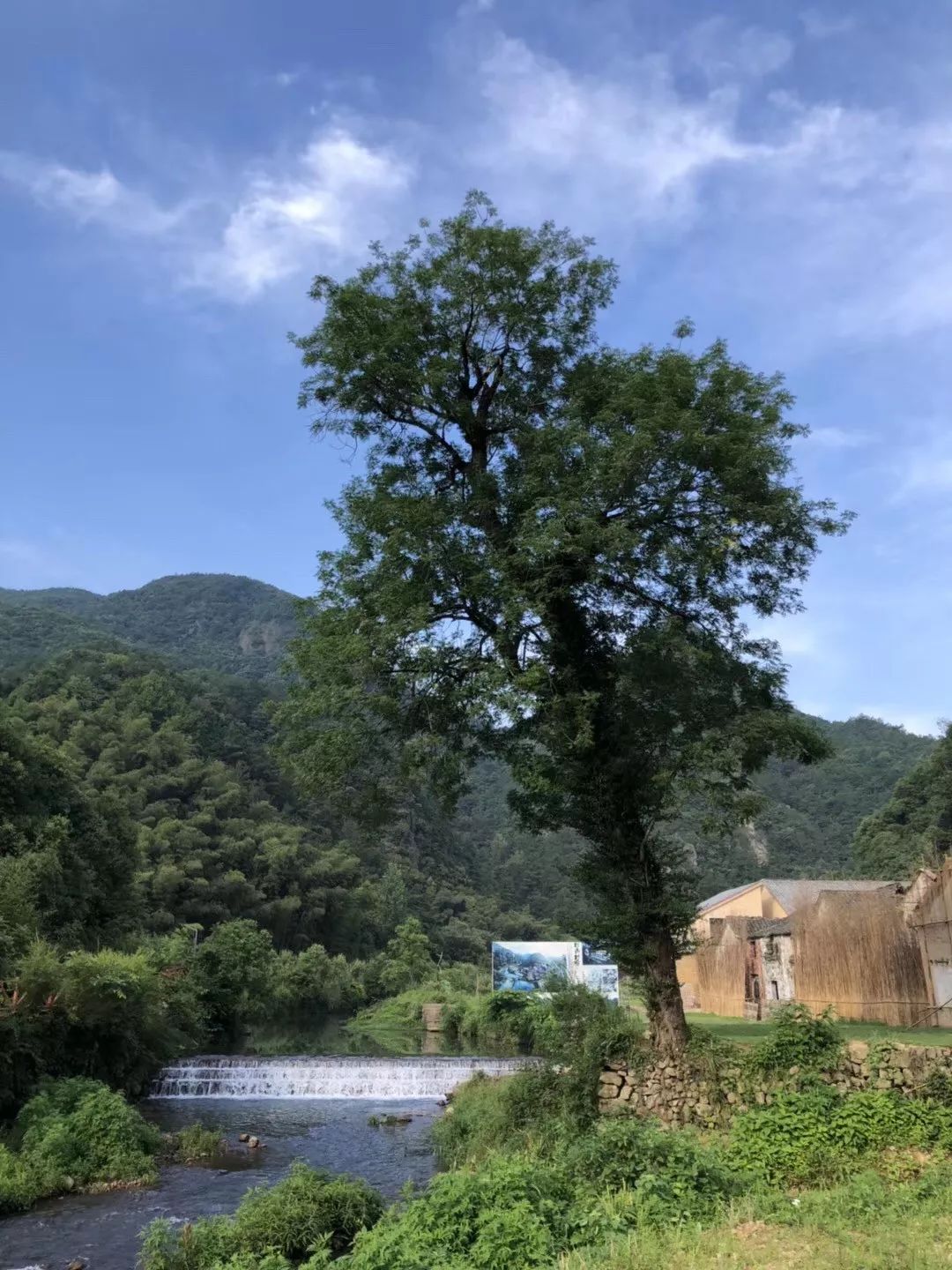 比肯亞更好玩！和長頸鹿共進早餐，馳騁1200畝草原，邂逅全世界小動物！ 旅遊 第28張