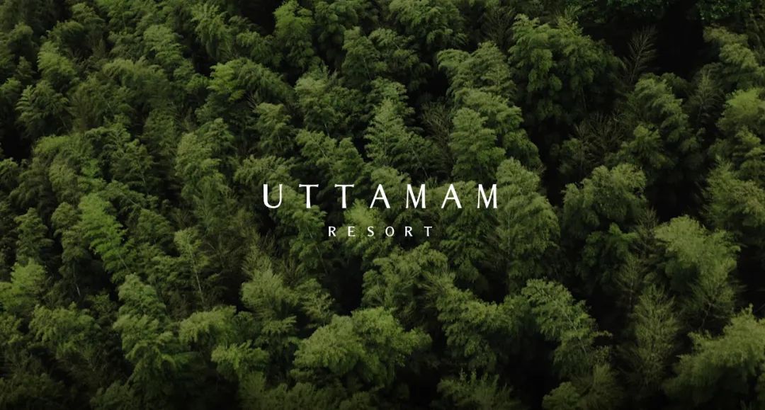 耗时6年打造,万亩竹海环绕的野奢民宿(图2) 耗时6年打造,万亩竹海环绕的野奢民宿(图2)