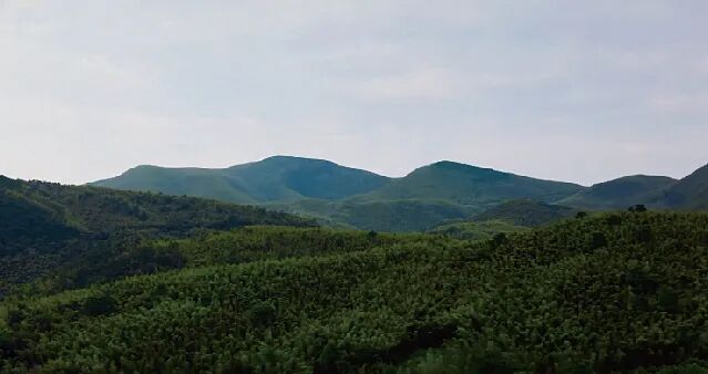 耗时6年打造，万亩竹海环绕的野奢民宿