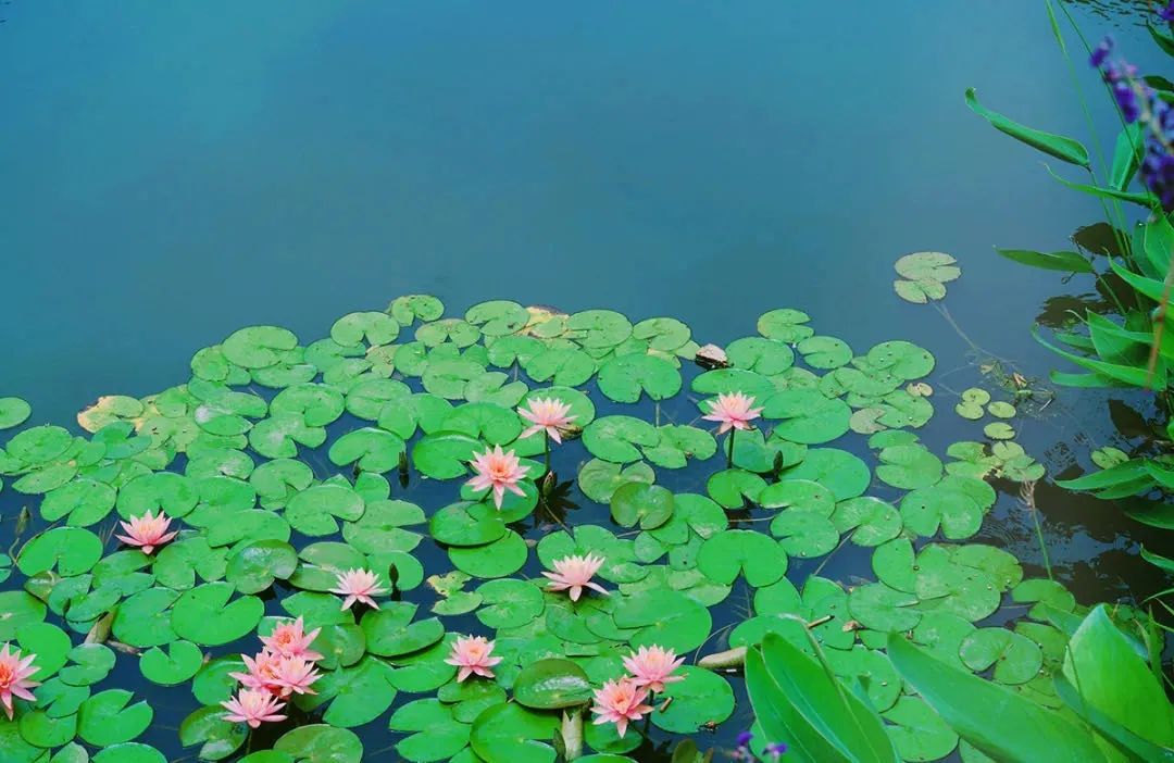 媲美京都！一房一湯深海溫泉入戶，這個國內版虹夕諾雅一開業就火遍了整個度假圈！ 旅遊 第21張