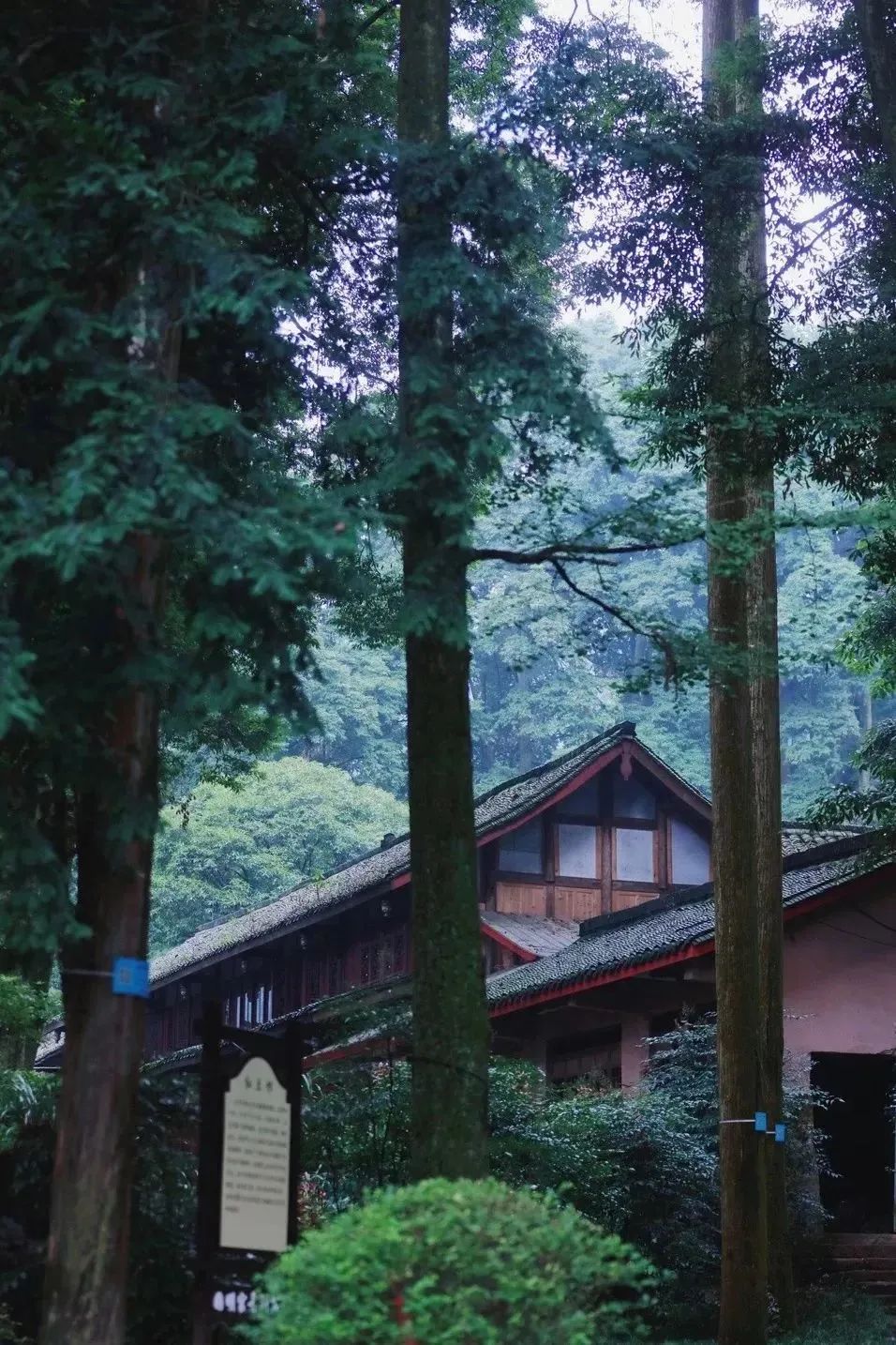 「川渝贵」薅羊毛专场!人少景美错峰游真的香,8D山城江景房399抢,周末不加价!-微信头条网 「川渝贵」薅羊毛专场!人少景美错峰游真的香,8D山城江景房399抢,周末不加价!