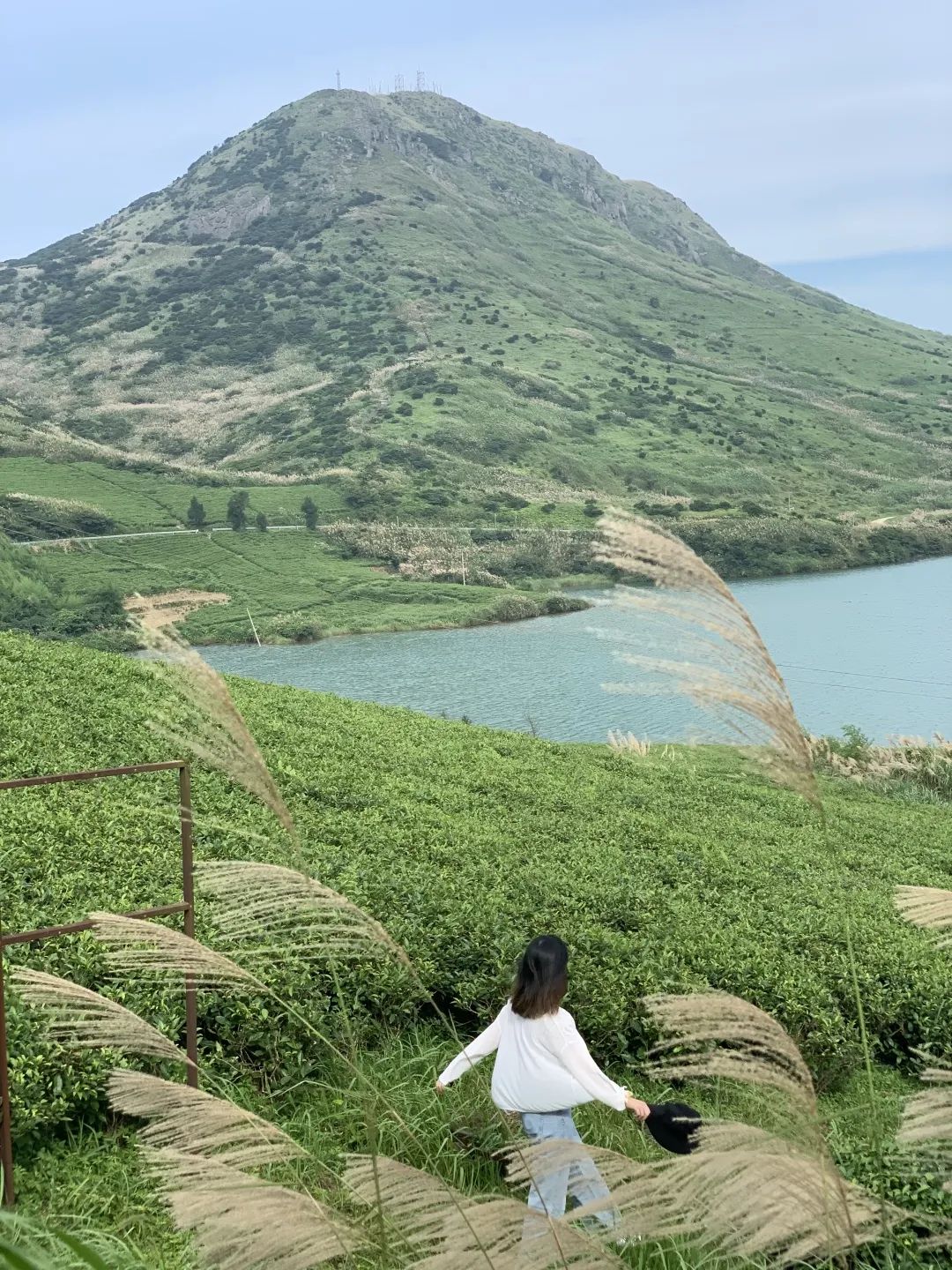 藏不住了！國家地理認證的中國最美海島，海上草原比新疆更驚艷！五彩斑斕的灘塗，攝影師都搶著來 旅遊 第10張